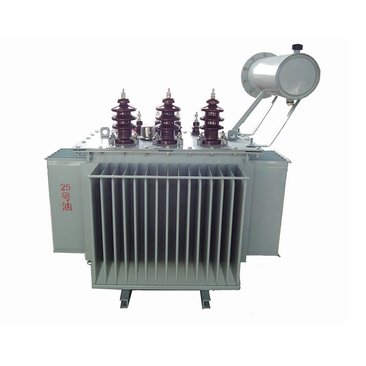 100 Kva 11 Kv ölgetauchter ONAN-Transformator 100 Kva 11 Kv ölgetauchter ONAN-Transformator