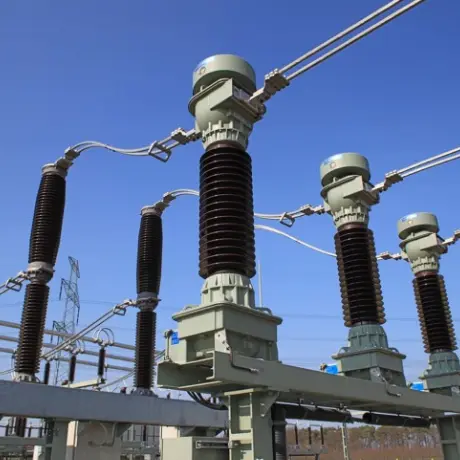 Geformter Hochspannungs-Vakuum-Unterbrecher mit 11 kV